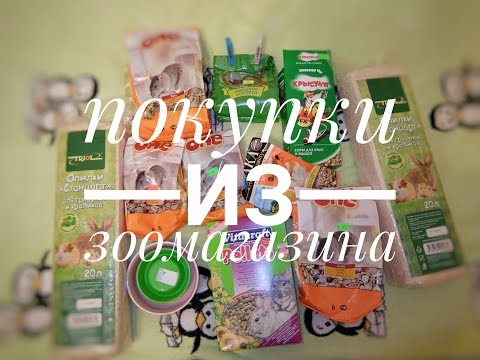Видео: ПОКУПКИ ИЗ ЗООМАГАЗИНА | DASHA ALEKCEEVA
