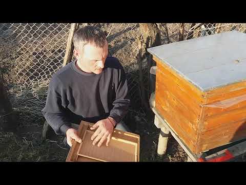 Видео: Турецкое дно-пыльцезборник.