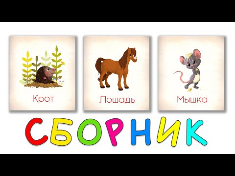 Видео: Животные для детей СБОРНИК Карточки Домана Развивающие мультики для детей