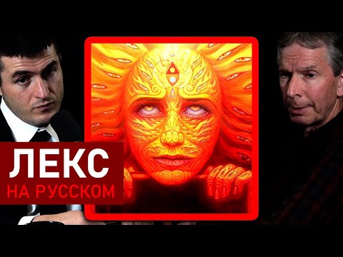 Видео: Психоделики открывают новые порталы к сознательному опыту | Дональд Хоффман и Лекс Фридман