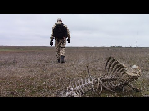 Видео: Поход к затерянному поселению Басановка