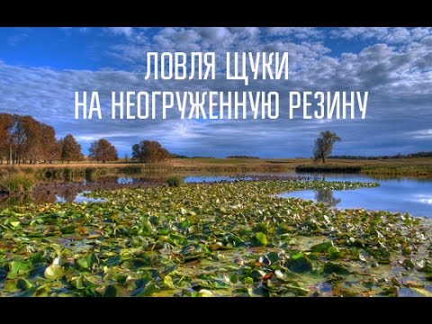 Видео: Как ловить щуку на неогруженную резину. Мастер класс Тополова и Мадюкина.