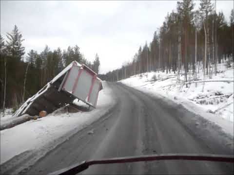 Видео: перевалы в лесу
