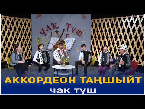 Видео: АККОРДЕОН ТАҢШЫЙТ//ЧАК ТҮШ