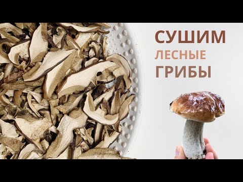 Видео: Как правильно сушить грибы, надо их мыть или нет...Рассказываю все подробности!