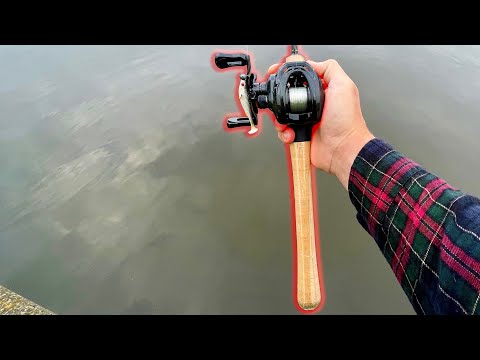 Видео: Рыбалка на БОЛЬШОГО окуня! (первый опыт ловли на приманку)