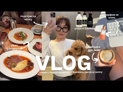Видео: VLOG| сделала челку, уход от Davines, свидание с подружкой, завтраки вне дома| будни в Петербурге 🤍