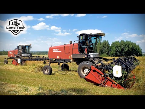 Видео: Самоходные косилки KSU-1 косят ячмень на сенаж. Заготовка кормов - 2022