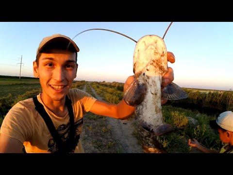 Видео: ЖАЗҒЫ БАЛЫҚ АУЛАУ (МӨЛДІРСУ)