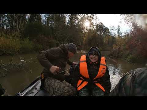 Видео: Река Малый Кемчуг шишки 2022 Емельяновский район