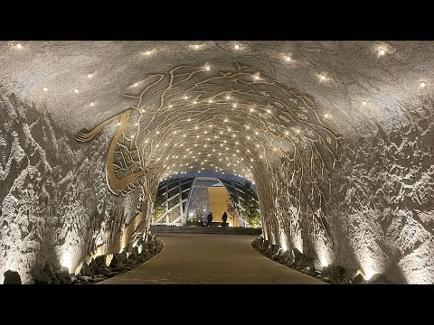 Видео: Новый парк Астаны ночью самое инстаграмное место для классных фото Дерево жизни / Древо жизни