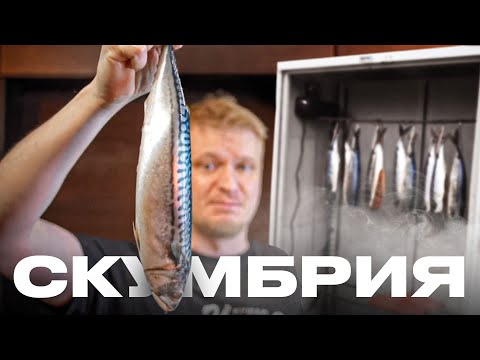 Видео: ЛУЧШИЙ во вселенной РЕЦЕПТ СКУМБРИИ!