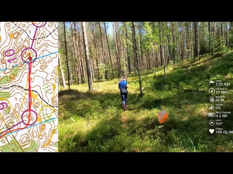 Видео: Спортивное ориентирование (headcam orienteering) - Белые Ночи 2022, Петяярви, классика - 26.06.2022