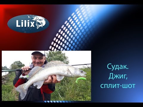 Видео: Судак. Джиг, сплит-шот