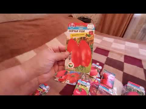 Видео: САМЫЕ ХОРОШИЕ СЕМЕНА ТОМАТОВ.