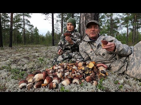 Видео: ВОТ И НАЧАЛОСЬ НАШЕСТВИЕ БЕЛЫХ ГРИБОВ! ПЕРВЫЙ ВЫХОД ЗА ГРИБАМИ НА ЛЕСНОЙ ОГОРОД! МАСОВЫЙ ГРИБ ПОШЁЛ!