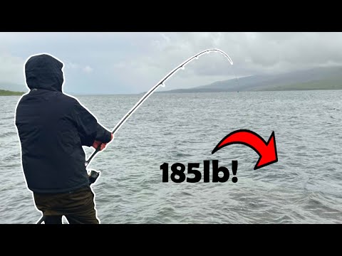Видео: САМАЯ БОЛЬШАЯ рыба, которую я когда-либо ловил!! Береговая рыбалка в Шотландии