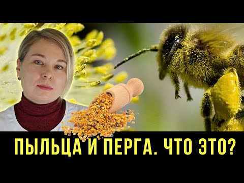 Видео: ПЧЕЛИНАЯ ПЫЛЬЦА И ПЕРГА. ЧТО ЭТО?