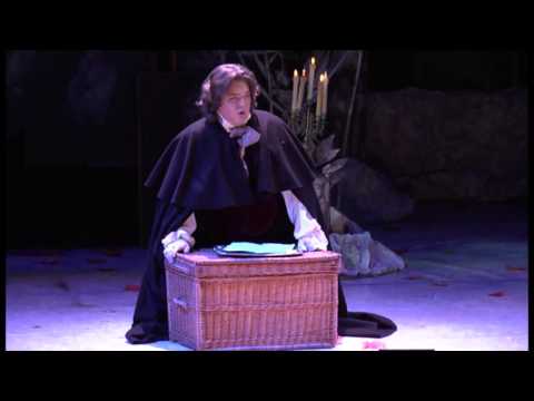 Видео: Игорь Морозов, "Куда, куда" (ария Ленского из оперы "Евгений Онегин")