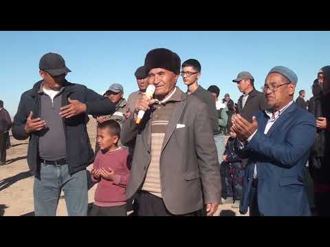 Видео: 15.11.23ж Келес ауданы Бозай ауылы Алғи Тәттібектің бата алу көкпар тойы