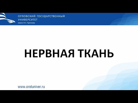 Видео: Нервная ткань. Нейроны. Гистологические препараты