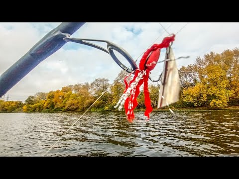 Видео: рибалка на грушку жор карася и судака клює все