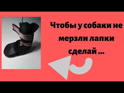 Видео: Чтобы у собаки не мерзли лапки сделай