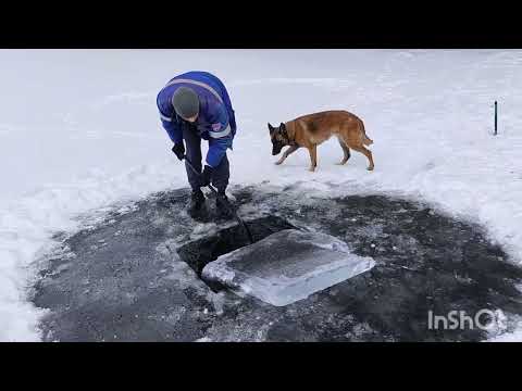 Видео: Открыли сезон купания в проруби 