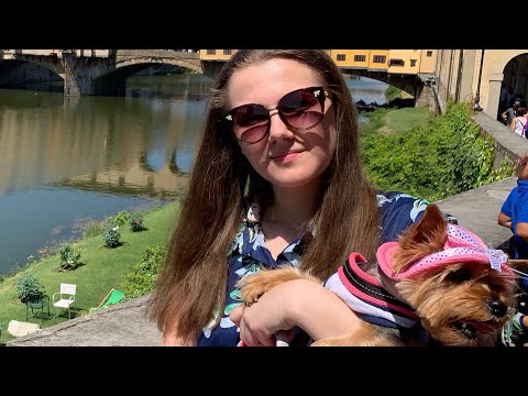 Видео: VLOG:Путешествие с собакой//йоркширский терьер во Флоренции//Отдых с собакой за границей