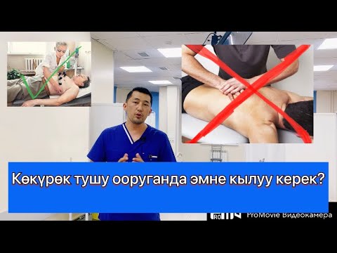 Видео: Журок тушу сайгылашып кысылса эмне кылуу керек!