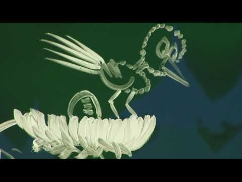 Видео: РИСУВАНИ ПРИКАЗКИ С БАТЕ ИЦО:КОСЕ БОСЕ/приказка под дъгата