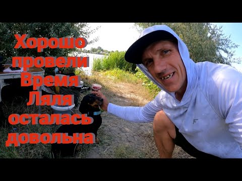 Видео: Рыбалка 2024 на  реке Днестр,враёне ,42км,,на луже'' Карась,Сом,Подлещик ,Макушатник Рулит #отдых