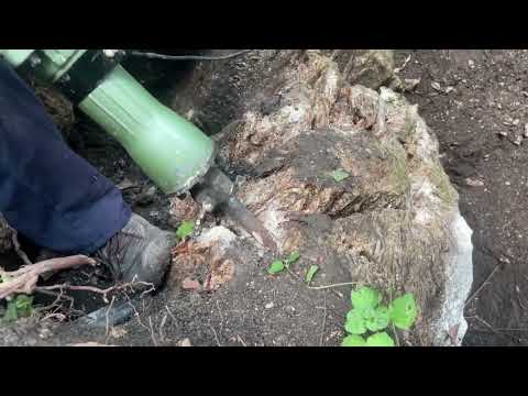 Видео: Чи легко відкрити нову печеру