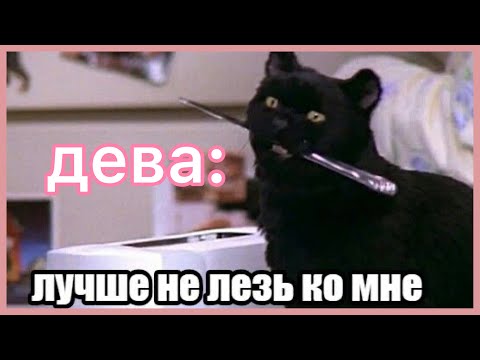 Видео: КОТ СЭЙЛЕМ КАК ЗНАКИ ЗОДИАКА