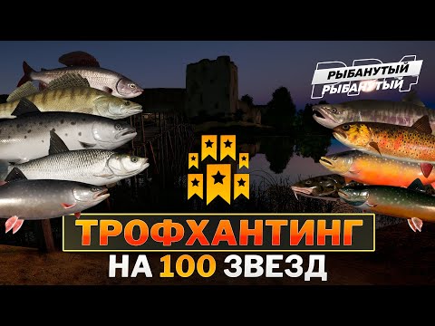 Видео: Охотник за ТРОФЕЯМИ ● Двигаюсь к 100 ЗВЁЗДАМ ● Русская Рыбалка 4
