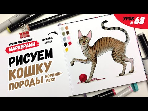 Видео: Как нарисовать кошку породы корниш-рекс? / Видео-урок по рисованию маркерами для новичков #68