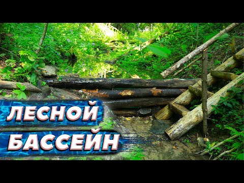 Видео: Переделали запруду | ЛЕСНОЙ ДОМ | ЗЕМЛЯНКА | ИЗБА | БАНЯ | FOREST HOUSE | DUGOUT | HUT