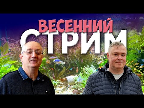 Видео: Весенний аква-стрим. Отвечаем на вопросы и говорим об аквариумах.
