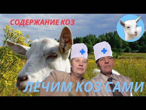 Видео: Содержание коз Лечим коз сами Аптечка