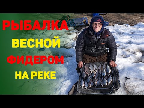 Видео: Рыбалка 2021. Рыбалка ранней весной. Лещ на реке.
