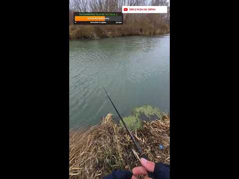 Видео: ОКУНИ ЛОМАЮТ СПИННИНГ. Рыбалка на спиннинг #fishing #рыбалка #рыбалкавидео