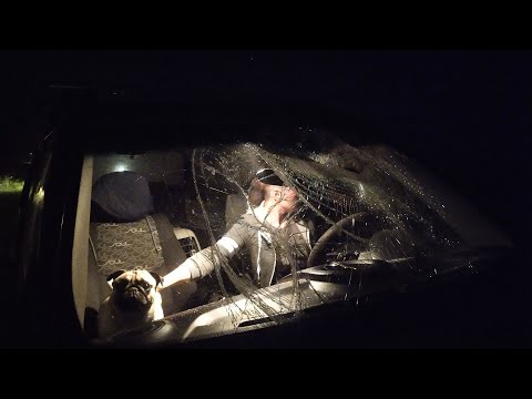 Видео: 3 месяца без съемок.