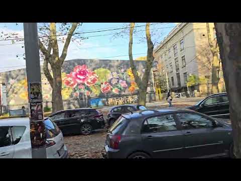 Видео: Вчера на улице 31 августа и осень подходит к концу.