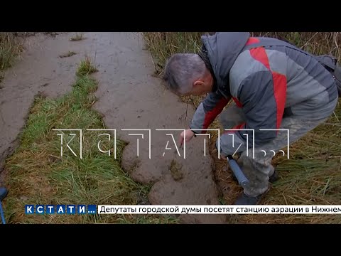 Видео: Озеро Байкал в Богородском районе отравили десятками тонн навоза