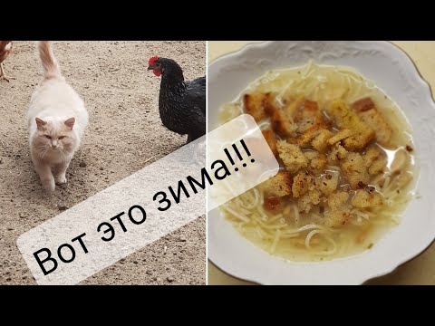 Видео: 1 декабря.Куры 🐓в огороде едят траву.🌿Сварила грибную лапшу и сделала гренки.😊❤🍞