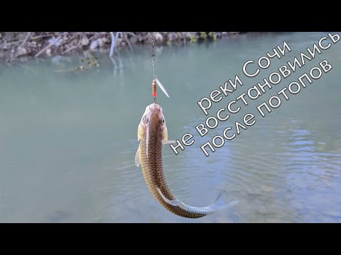 Видео: Рыбалка в одном из районов Сочи на невосстановившейся после потопов малой горной реке.