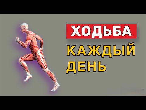 Видео: Что произойдет с телом,  Если ходить пешком каждый день? Это невероятно!