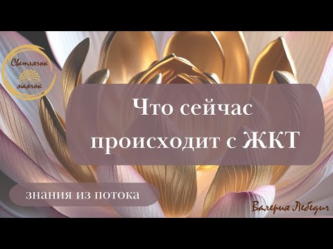 Видео: Что сейчас происходит с ЖКТ | Меняется мир - меняемся мы#пробуждение #ченнелинг5d #жкт #силасознания