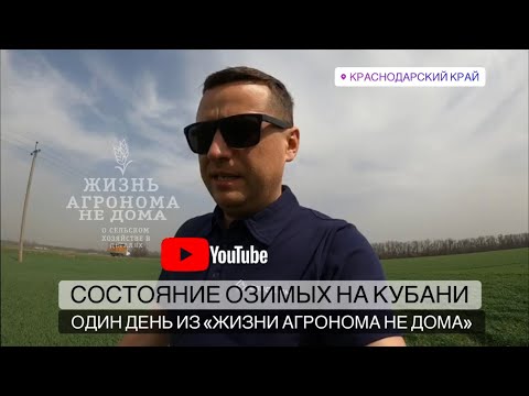 Видео: ОДИН ДЕНЬ ИЗ «ЖИЗНИ АГРОНОМА НЕ ДОМА»
