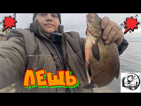 Видео: Финский Лещь!!! #лещь #рыбалка2024 #fishing #рыбалка